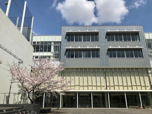 大江戸中庭　春満開２